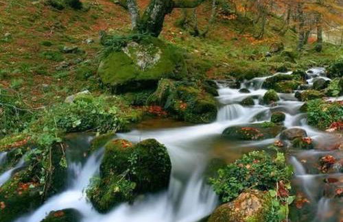 Holiday Home Ländliches Haus La Carrozal Senda del Oso by Interhome - Foto 39