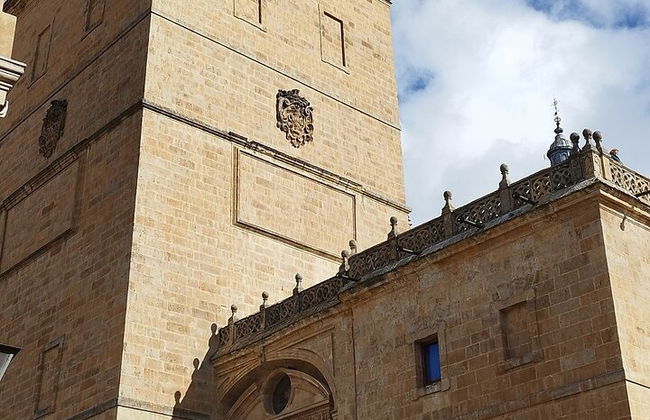 Tour privato di Salamanca Essenziale in 2 ore - Foto 7