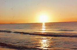 Apartamento Al Andalus Playa Muchavista El Campello - Photo 36