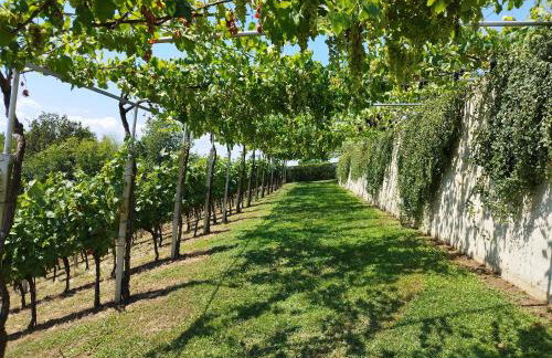 Kuća za odmor Sunce - Foto 44