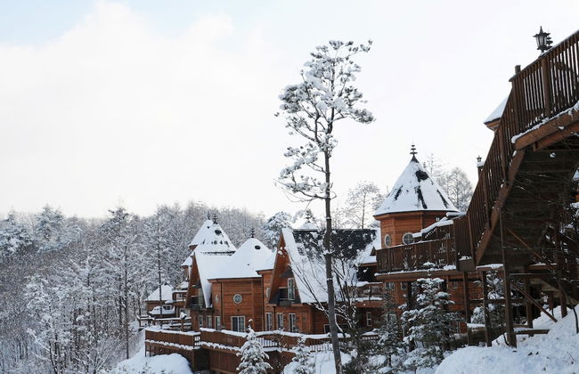 Elf Resort Hotel - Photo 4