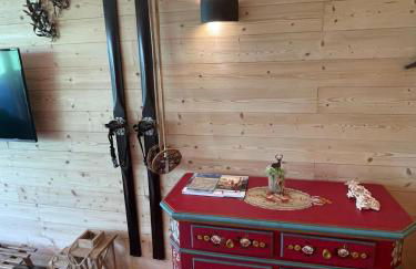 Stella Alpina San Martino di Castrozza vista Pale - Foto 13