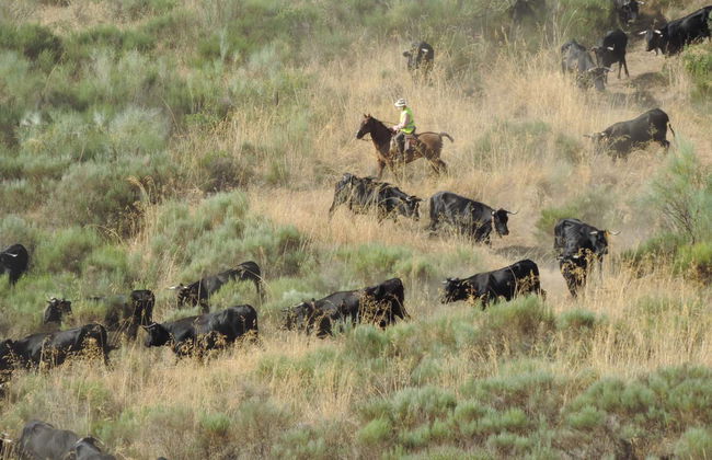 Tour in Cáceres - Photo 6