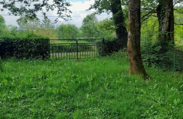 Maison au bord de l'eau, Bain nordique - Foto 6