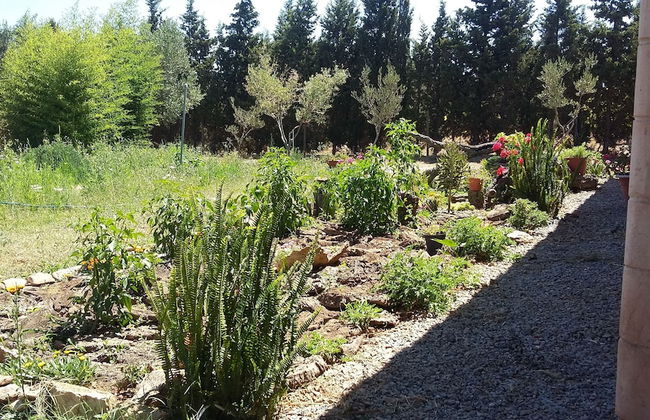 Agriturismo Sogno Latino - Photo 31