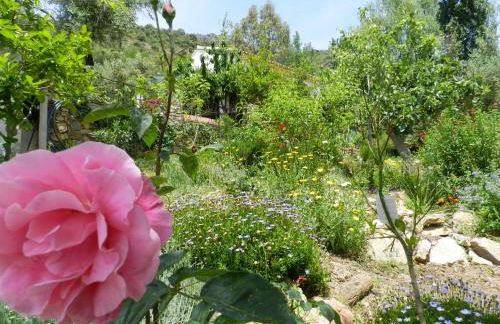 la fontana - Foto 26