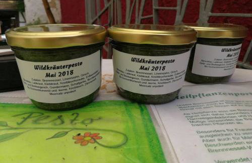 Ferienwohnung am Nibelungensteig unter der Burg - Foto 21