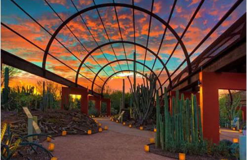 Designer 5 Bd Home, Fountain Pool, Spa, Game Patio - Foto 45