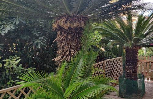 La casa di Ulisse - Foto 37