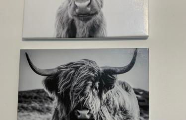 Zu Gast bei Freunden - Foto 15