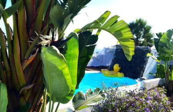 Finca las Mariposas - Foto 27