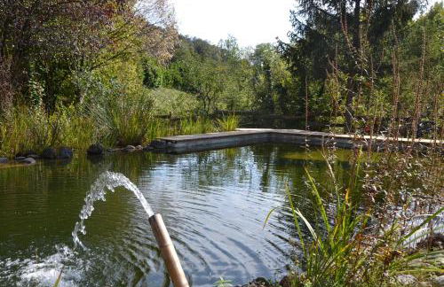 Mas Franch - Foto 33