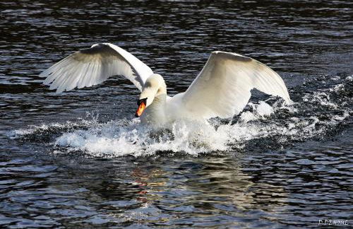 Gîte des trois vallees - Foto 15