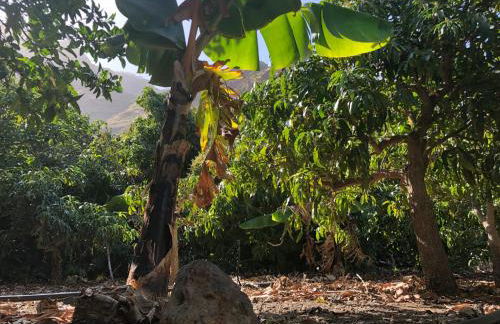 Casa Camino Tamadaba II (bottom home) - Foto 61