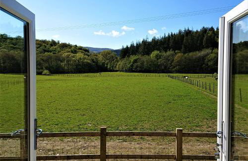 Abergwynant Farm Glamping & Apartments - Foto 13