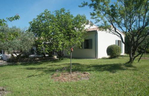 Sous le figuier - Foto 25