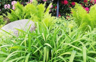 idylische Ferienwohnung - Foto 23