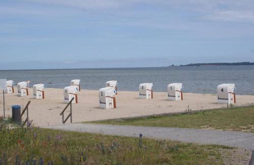 Lütt Matten de Has - Sünnenkieker WE2 - ABC364 - Foto 20