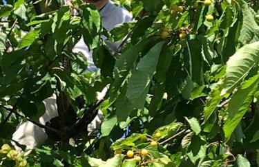 Ferienhaus Rügen-Relax - Foto 38