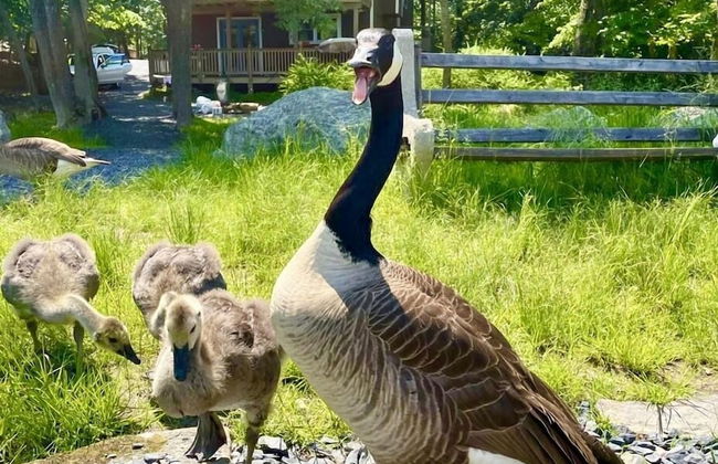 4 BD Stylish Cottage W Private Pool & hot-tub by RedAwning - Foto 30