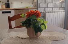 Mikaela Planta baja-con patio - Foto 8