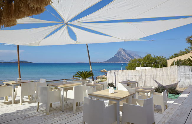 Mono 2 - Lu Nibareddu - Foto 3