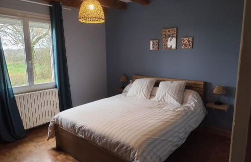 Maison plain-pied à la campagne avec jardin privatif, barbecue, proche Parc de la Brenne et Châteauroux - FR-1-591-599 - Foto 29