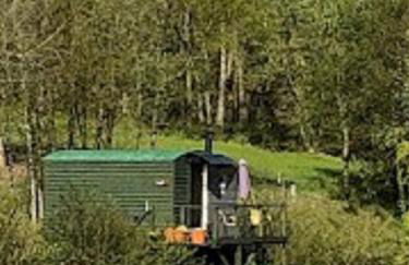 Snug & Secluded Lakeside Shepherds Hut 'Carp' - Foto 27