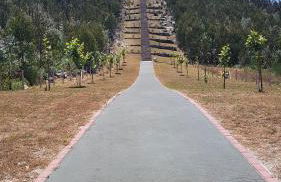 Casa da Mena - Casa de Campo no Caramulo - Foto 34