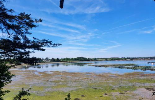 Des chevreuils - Photo 27