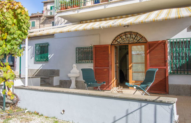 Kiwi e L'uva - Tuscia - Foto 2