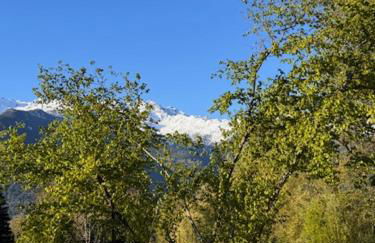 tegliohomevaltellina - Foto 9