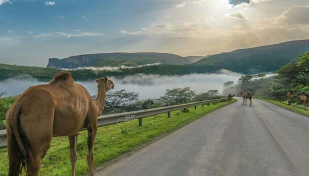 Private Tour of West Salalah - Foto 4