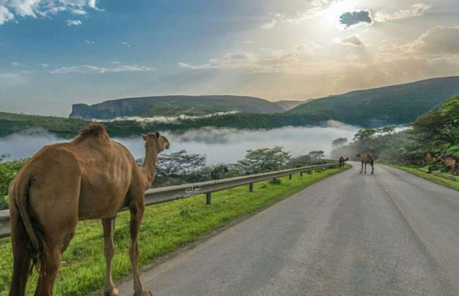 Private Tour of West Salalah - Foto 4