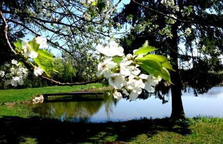 Dworek Szarki - Foto 8