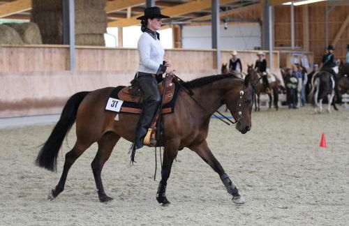 Sonnenhof, Ferienwohnung auf Reitanlage - Foto 38