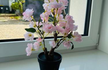 Große 2 Ferienwohnung Gästehaus NEUBAU Merzig 100 m2 - Photo 16