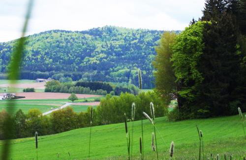 Ferienwohnung Huglbauer - Foto 33