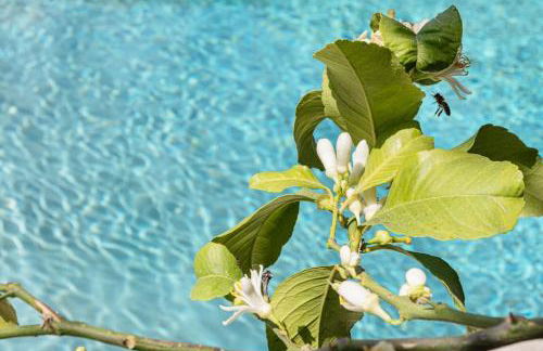 Daniele's Suite. Etna, Sea & much more... - Foto 32