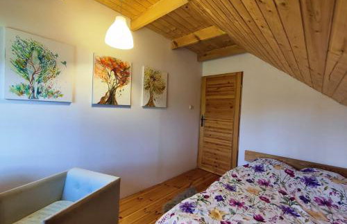 Brzozowa Chatka - Dom nad Jeziorem - Wellness & Ceragem - Foto 15