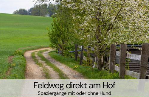 HexenburgbeiDresden mit Faßsauna Stylishes Designerappartement mit Schlafsofa, Terrasse - Nähe Sächsische Schweiz Dresden - Foto 19