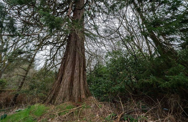 Ranch House Cottage Inverurie Aberdeenshire - Foto 29