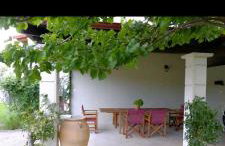 Vintage Garden House - Photo 3