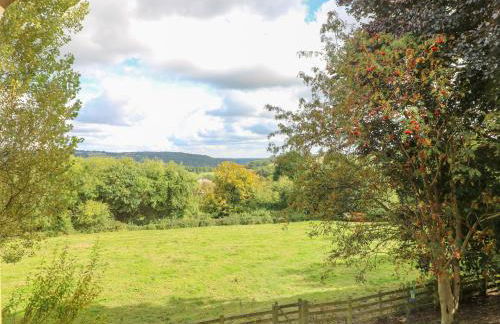 Chapelfield - Foto 29