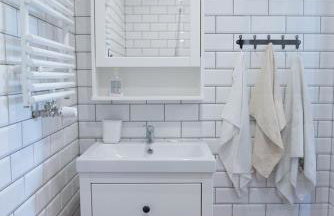 Lipowy Dwór - Foto 11