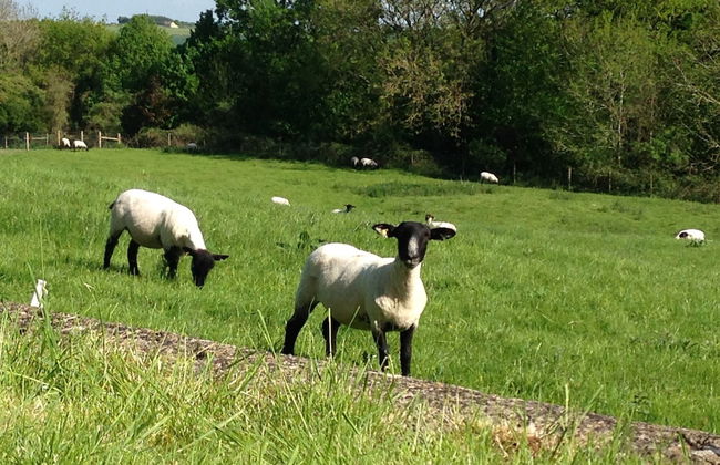 Courtyard Cottage - Adults Only - Photo 20