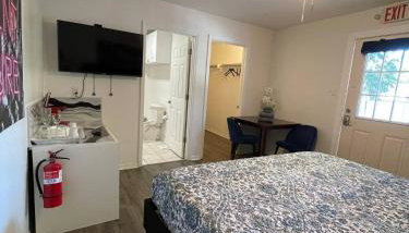 Little Carnation - Foto 3