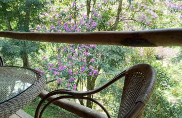 Chácara das Araucárias - Foto 39