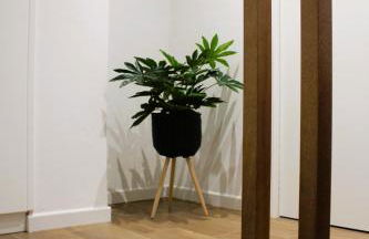 Anima E Cori - Casa Vacanza - Foto 18