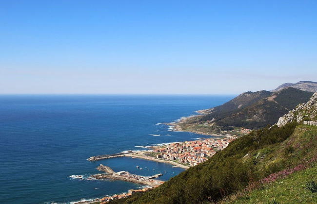 104064 - Apartment in Portonovo - Foto 14